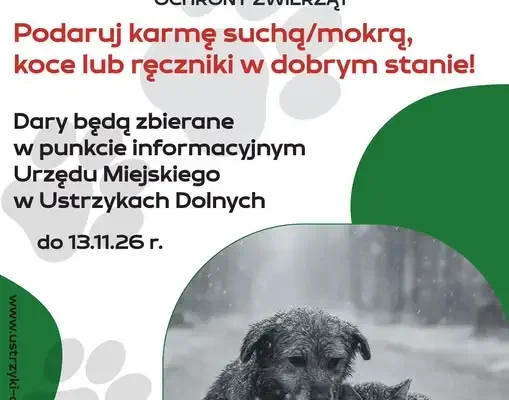Zbiórka darów dla zwierząt w Ustrzykach Dolnych – pomóż przetrwać zimę