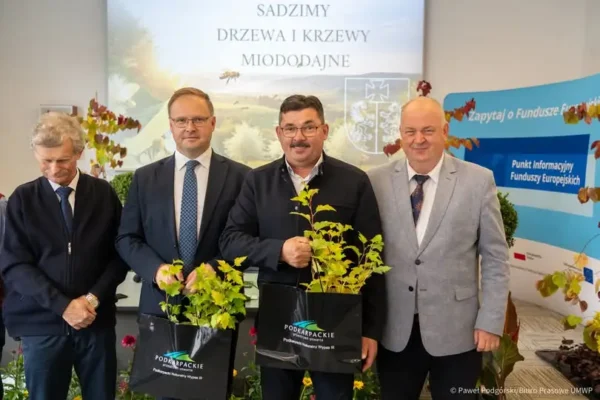 Gmina Lutowiska stawia na rośliny miododajne – kolejna edycja akcji